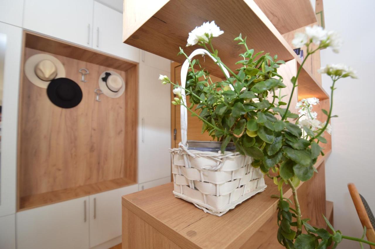 Shine24 - Spacious And Bright Apartment - New Νόβι Σαντ Εξωτερικό φωτογραφία